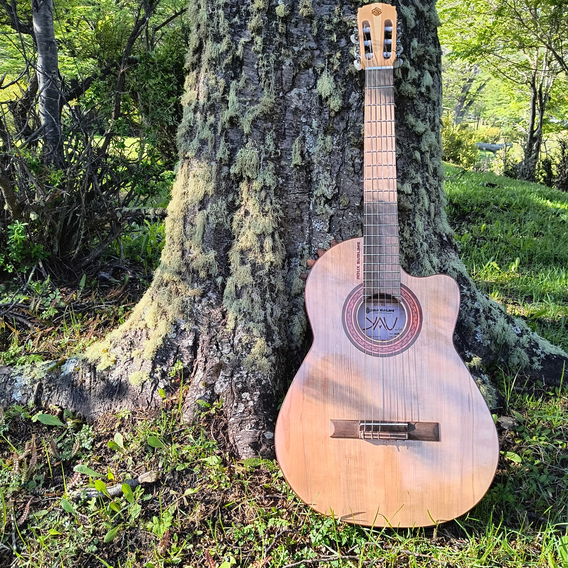 Guitarra YAU de lenga Roux Sublime apoyada en un árbol del bosque fueguino
